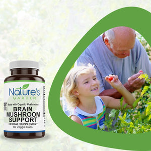 Brain Mushroom Support COG Capsules 60 VegCap
