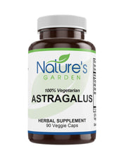 Astragalus Root - 90 Veggie Caps