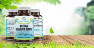 Livamed - Mega Magnesium® Veg Caps 90 Count - Livamed Vitamins