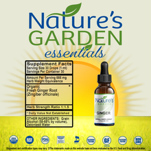 Ginger - 1 oz Liquid Single Herb