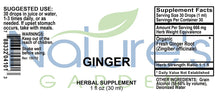 Ginger - 1 oz Liquid Single Herb