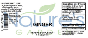 Ginger - 1 oz Liquid Single Herb