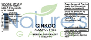 Ginkgo (Alcohol Free) - 1 oz Liquid Single Herb