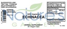 Echinacea angustifolia root - 90 Veggie Caps with 420mg Organic Echinacea Root