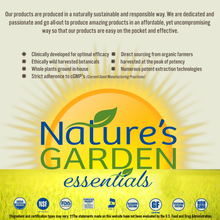 Echinancea-Goldenseal  - 60 Liquid Veggie Caps