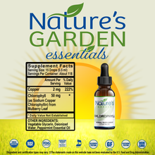 CHLOROPHYLL (Alcohol Free) - 2 oz Liquid Herbal Formula